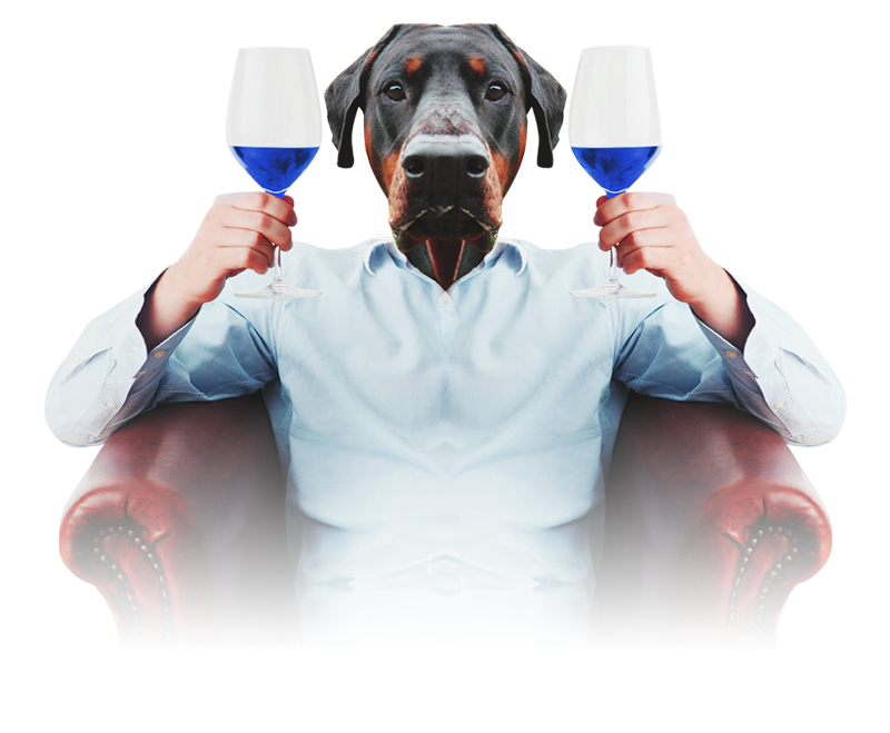 Gïk Live: Blauer Wein – Hund